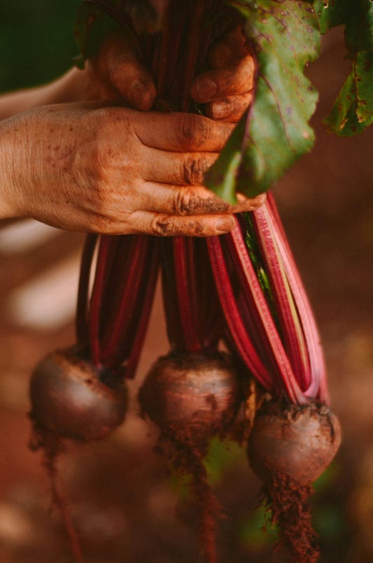 Why Anaemia in CKD: A Renal Dietitian’s Evidence-Based Perspective
